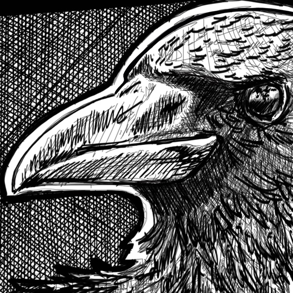 murderofmagpies